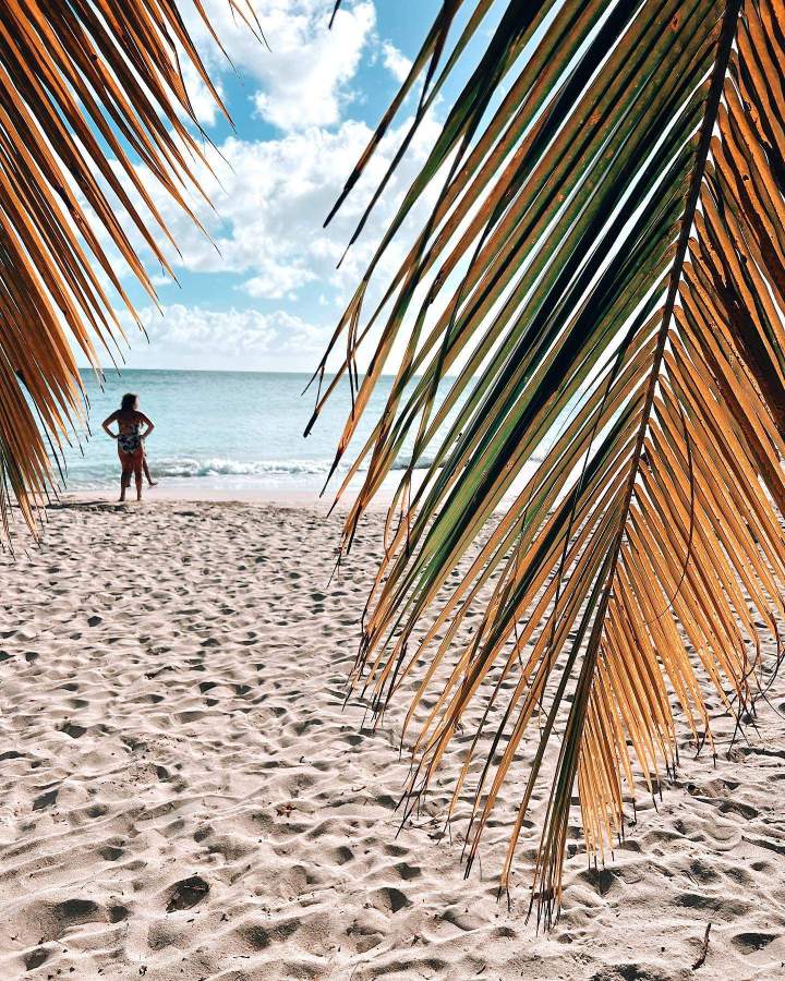 Restaurant pied dans l'eau Martinique